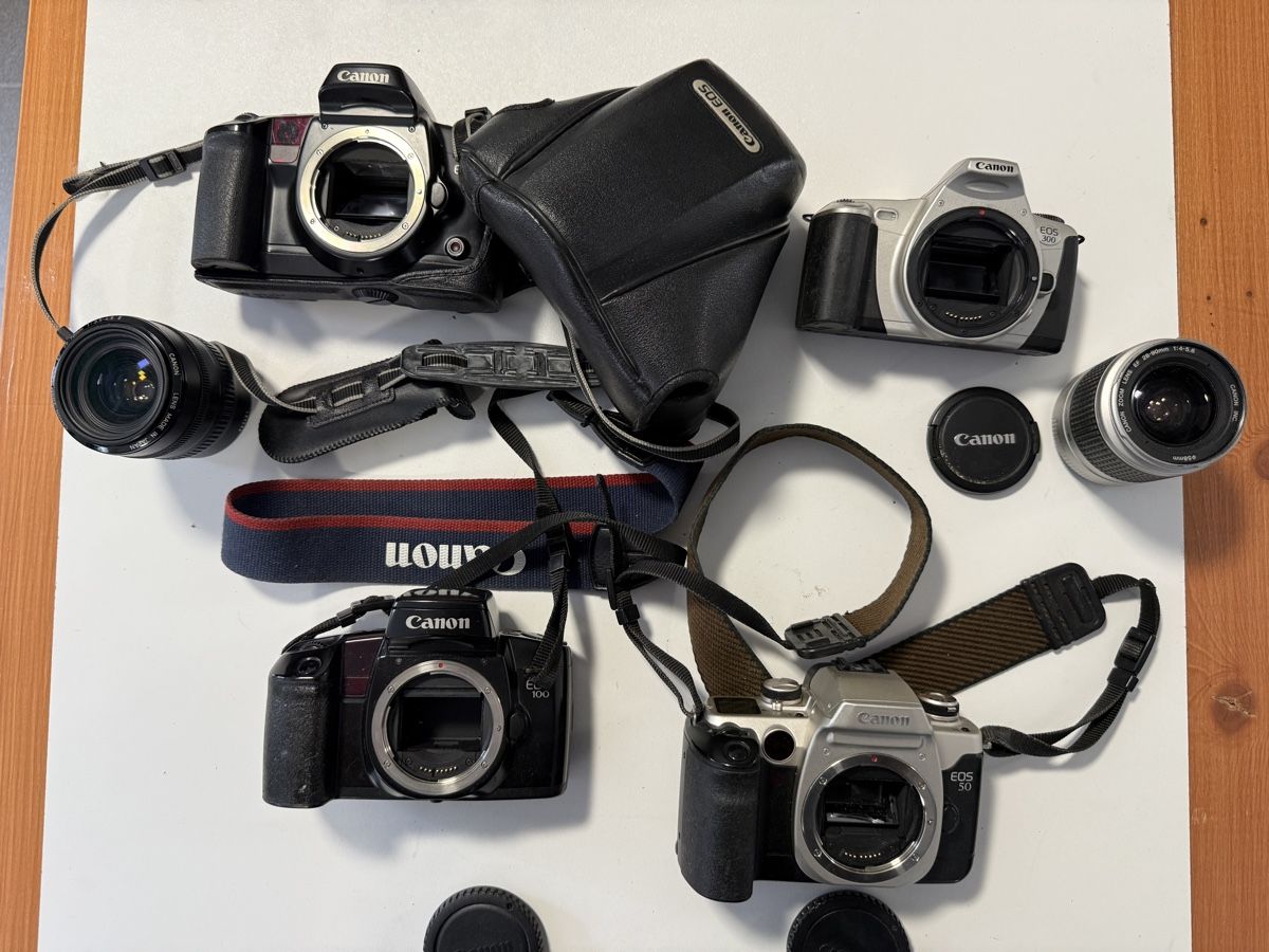 Canon Fotocamera: Le lot comprend 4 boîtiers reflex argentiques et 2 objectifs – Usato da Ardon venduto da Momovs99 4