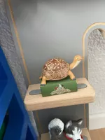 Tonie Tonies Figur  Schule der magischen Tiere Schildkröte d