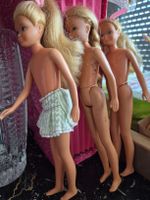 drei Skipper Barbiepuppen, schöne Haare - Sommerschnäppli