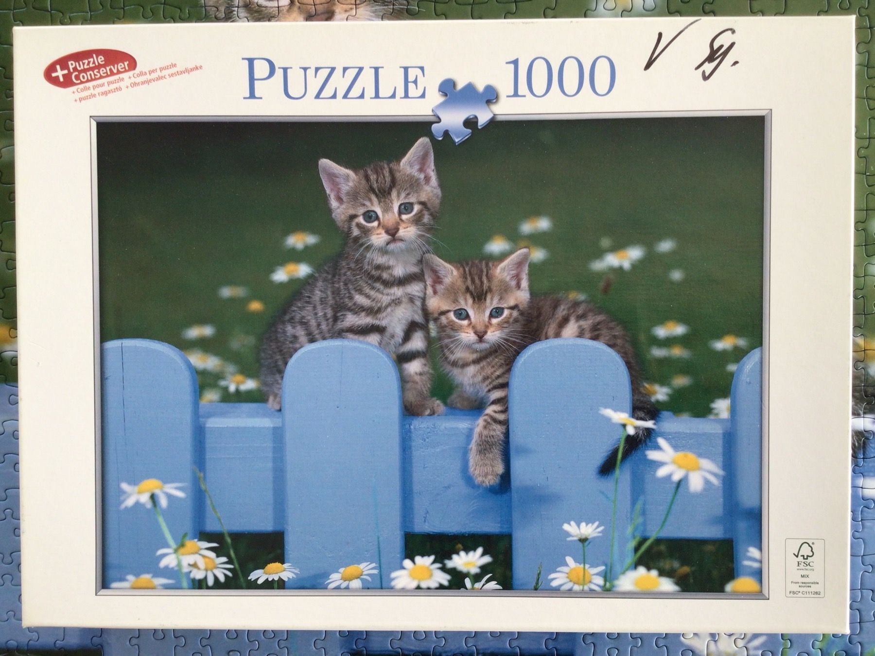 Puzzle: Puzzle Kätzchen 1000Teile – Usato da Wagen venduto da papai1