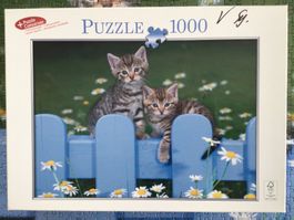 Puzzle Kätzchen 1000Teile
