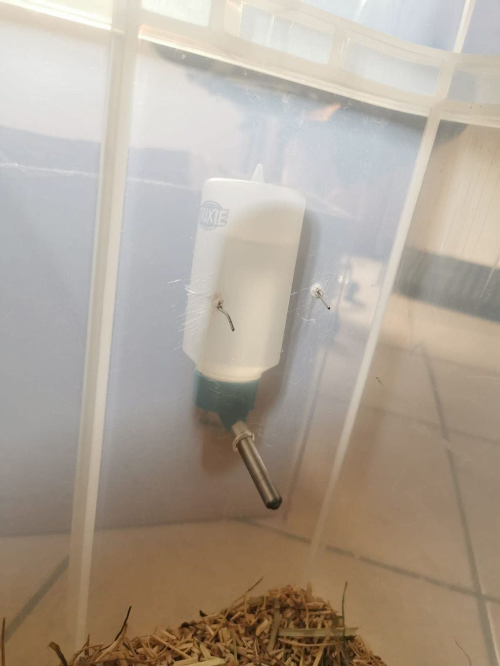 Gabbie, trasporto & Sicurezza: Cage rongeur fait maison + accessoires – Usato da Moutier venduto da Matteoleroux 1