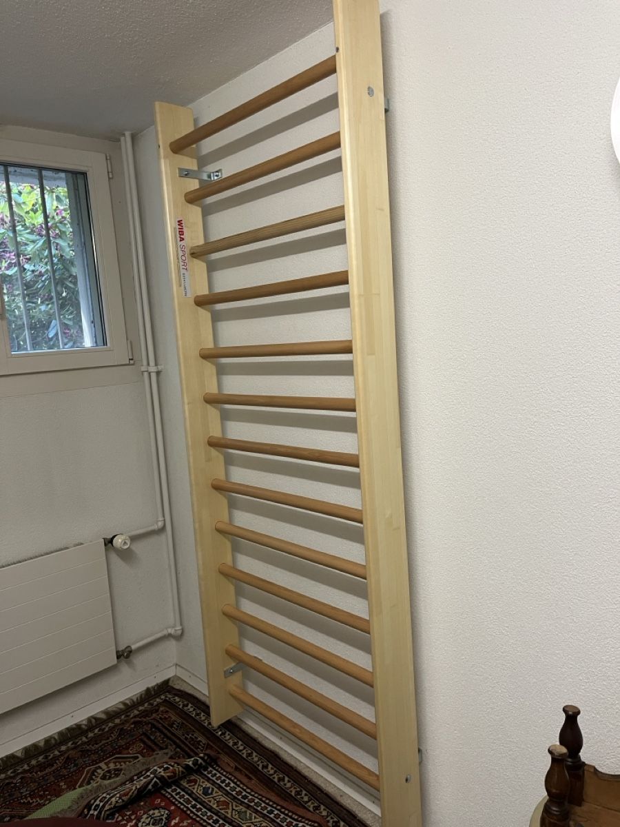Hometrainer: Sprossenwand Holz 200x80 – Usato da Meggen venduto da Ricardofrank 1