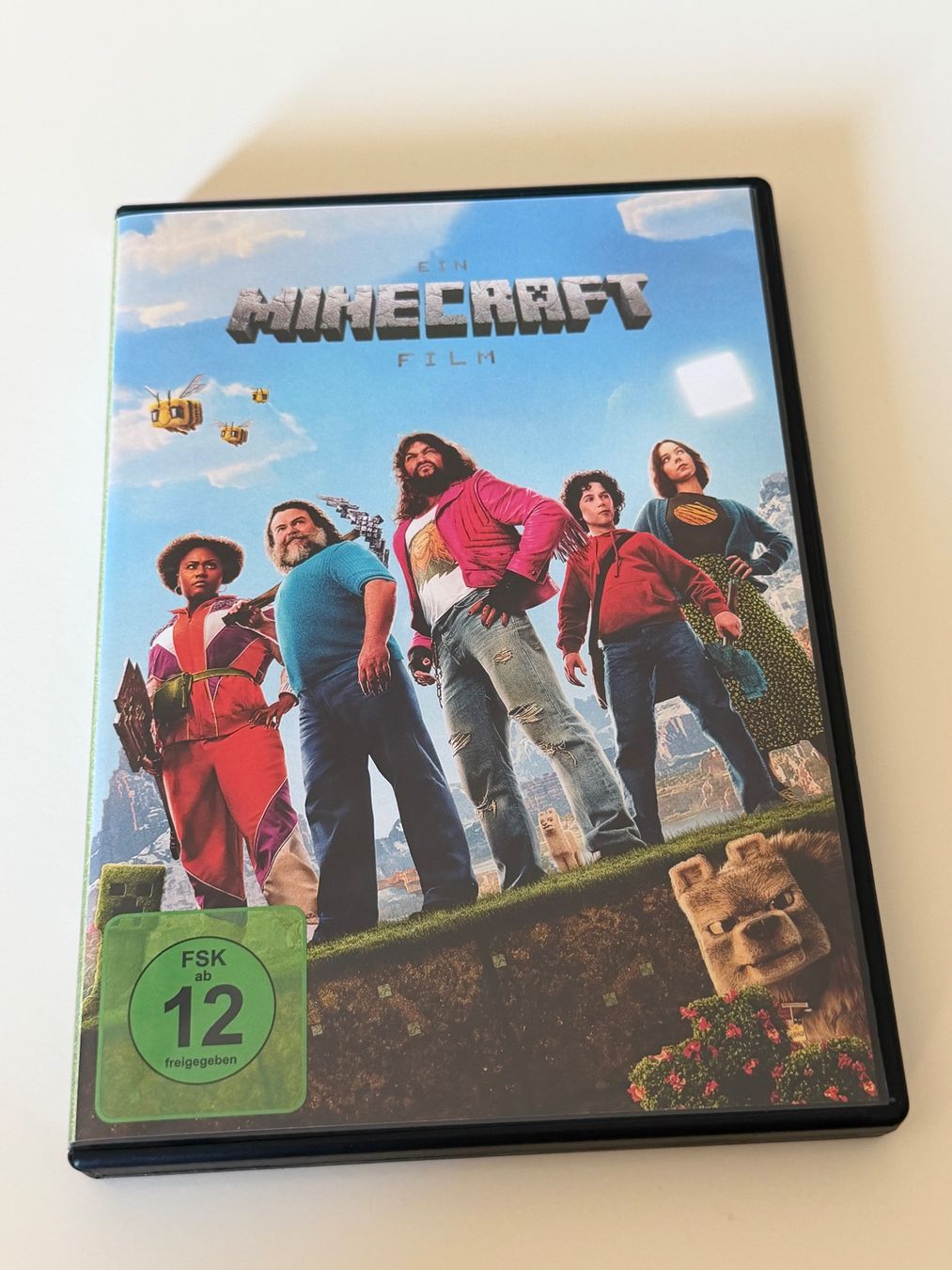 Tutti i DVDs: DVD Minecraft Film – Usato da Altstätten SG venduto da sheamus