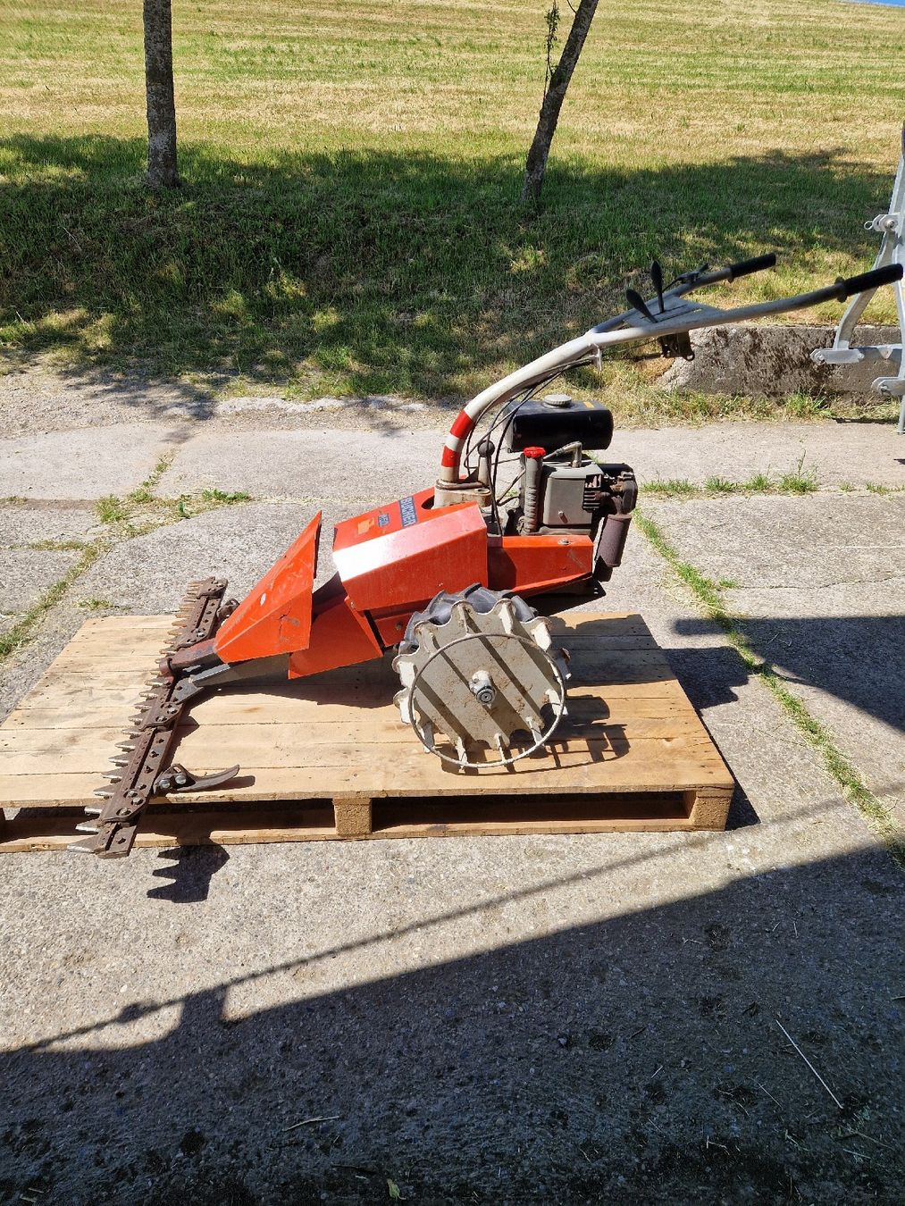 Tutte le macchine: Motormäher  – Usato da Herisau venduto da DX71 3