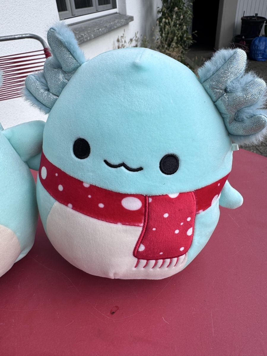 Squishmallows Jouets: Squishmallows Axolotl 2x ca 20cm – D'occasion à Niederbüren par Oetschli 2
