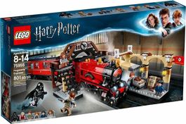 💥LEGO Harry Potter 75955 Hogwarts-Express NEU