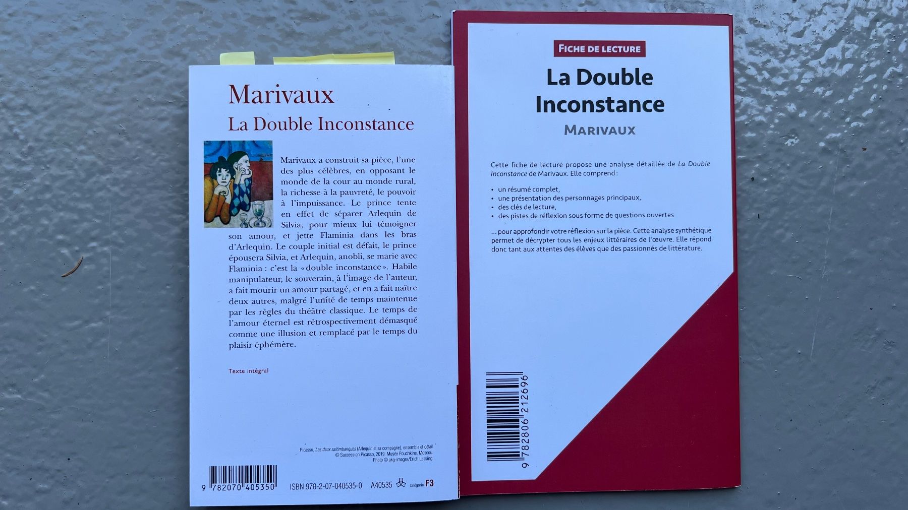Livres: Le Double Inconstance – D'occasion à Ebmatingen par lwe_x6h5 1