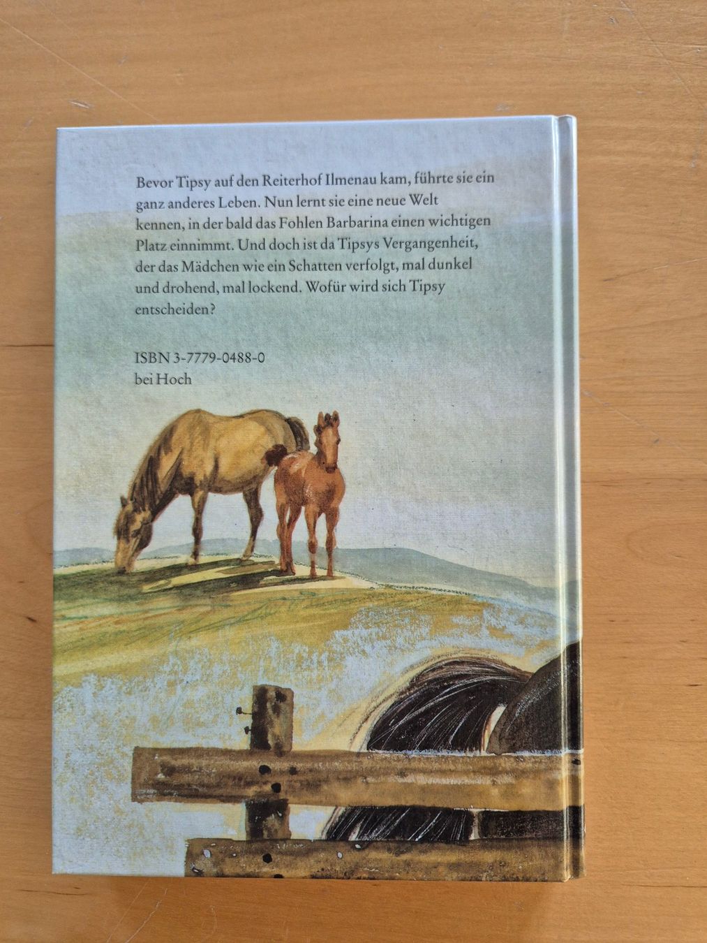 Bücher: Jugendbuch mit Pferden – Gebraucht aus Beromünster von nicolet78 1