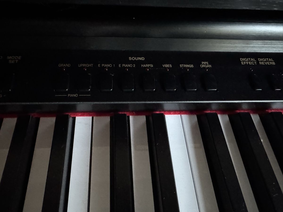 Technics Musikinstrumente: E-Piano Technics SX-PX552 – Gebraucht aus Burgdorf von Nantucket68 2