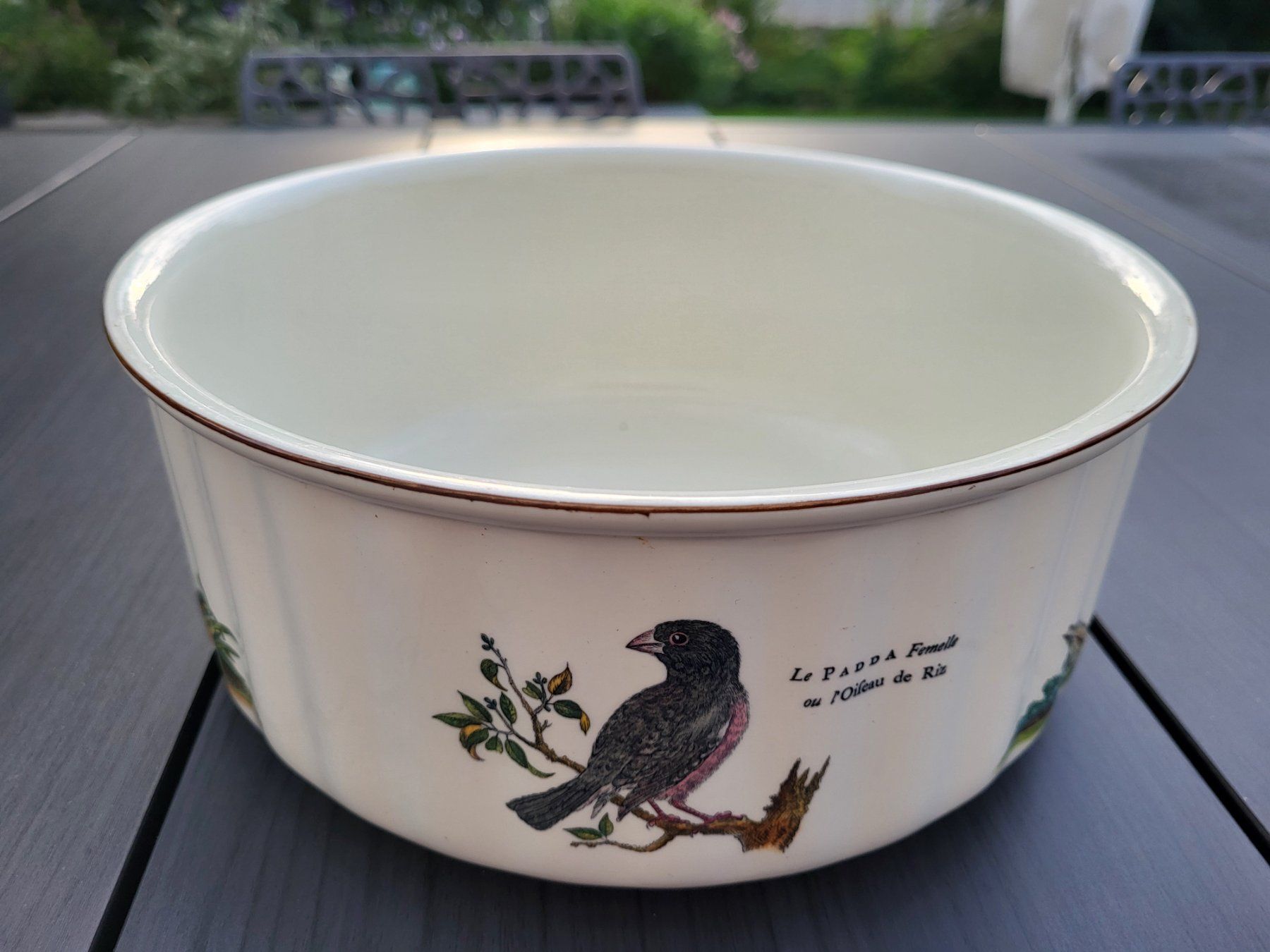 Villeroy & Boch Ciotole: Schöne Villeroy & Boch Schüssel "Paradiso" – Usato da Guntershausen venduto da Luzia62