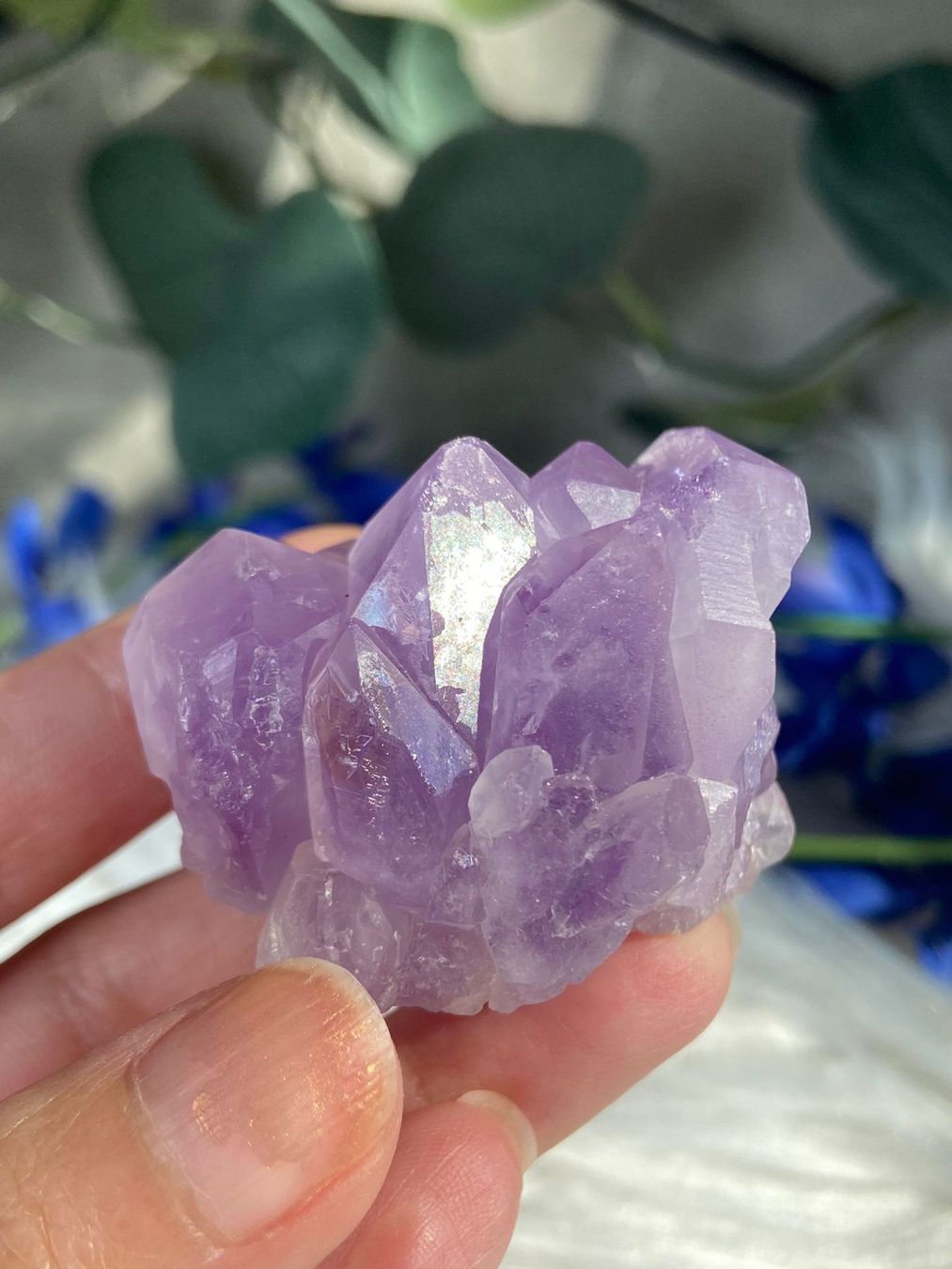 Edelsteine: Amethyst Flower Points – Neu (gemäss Beschreibung) aus Neuheim von m.hald