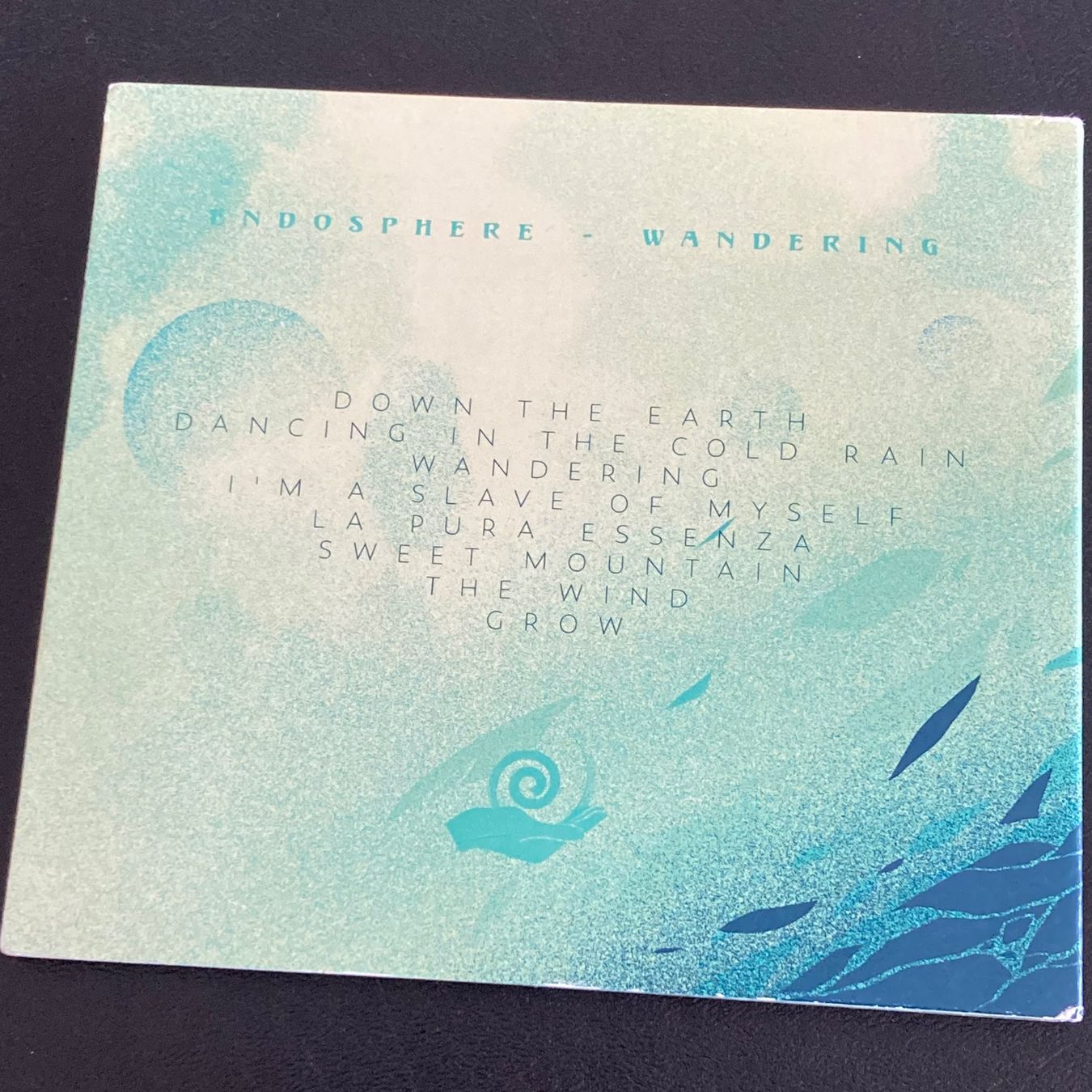 CD: Endosphere - Wandering | Ambient, New Age – Usato da Bern venduto da Ntsamina 1