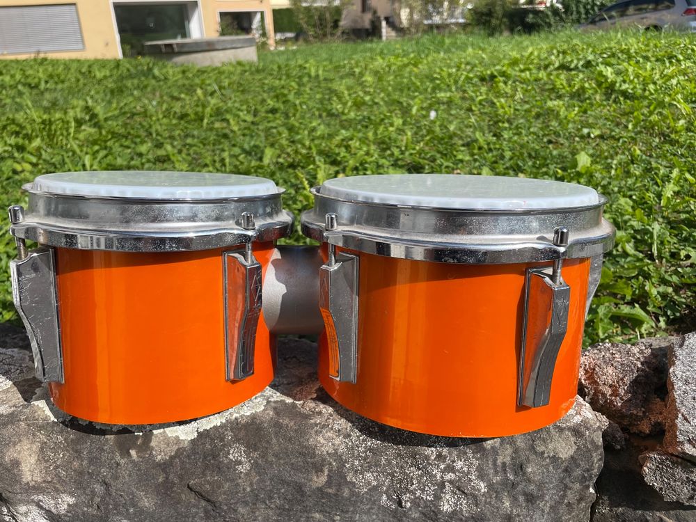 BONGO Kaufen auf Ricardo