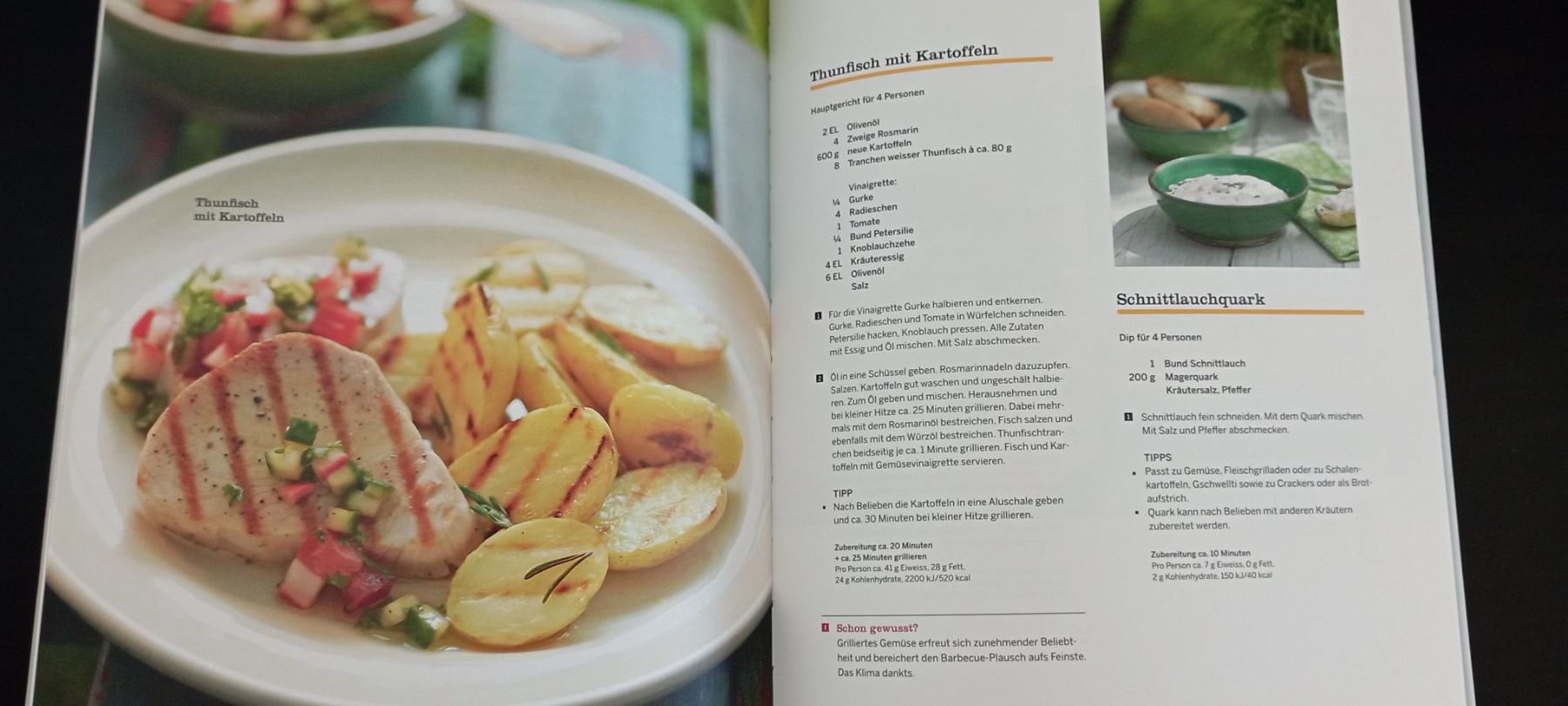 Libri: Migros - Green Gourmet – Usato da Allschwil venduto da pri_9lsr 2
