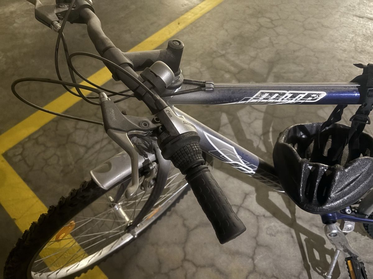 Biciclette: Gepflegtes Mountainbike – Usato da Zürich venduto da Orionos 3