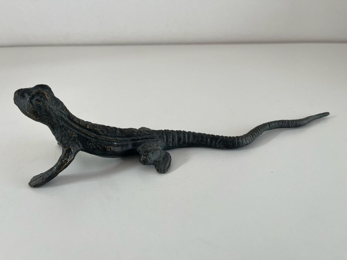 Sculptures & Statues: grosse Eidechse aus Messing oder Bronze – D'occasion à Wetzikon ZH par seli03