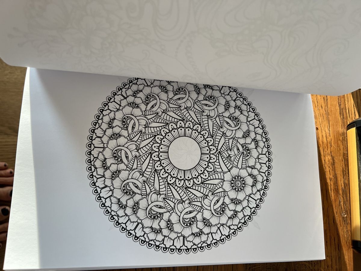 Libri: Colouring Book/Malbuch: 111 Mandala – Nuovo (secondo la descrizione) da Schenkon venduto da NCB77 2