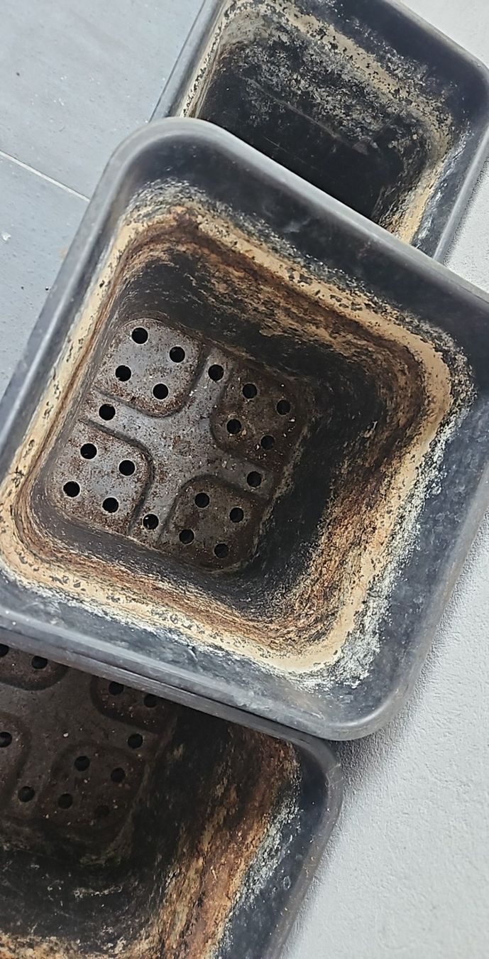 Blumentöpfe: Anzuchttöpfe ca 25x25cm – Gebraucht aus Luzern von schuhparadies159 2