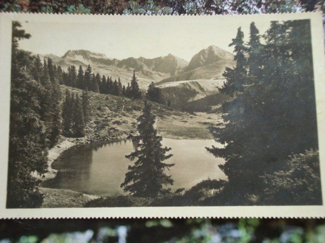 Cartoline postali: 0559 Arosa Prätschsee. Postkarte – Nuovo (secondo la descrizione) da Thun venduto da Gaad1961