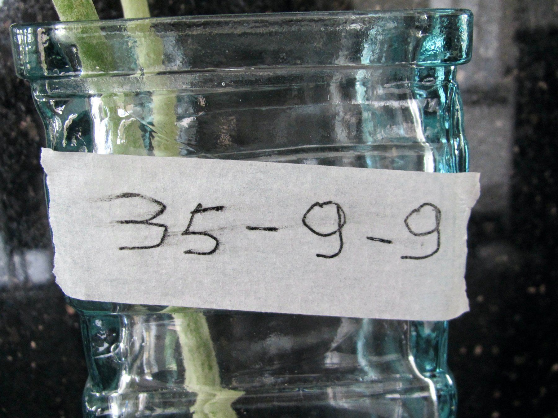 Globus Vasi & Recipienti: GRAND VASE A FLEURS – Usato da Murten venduto da Selliot 3