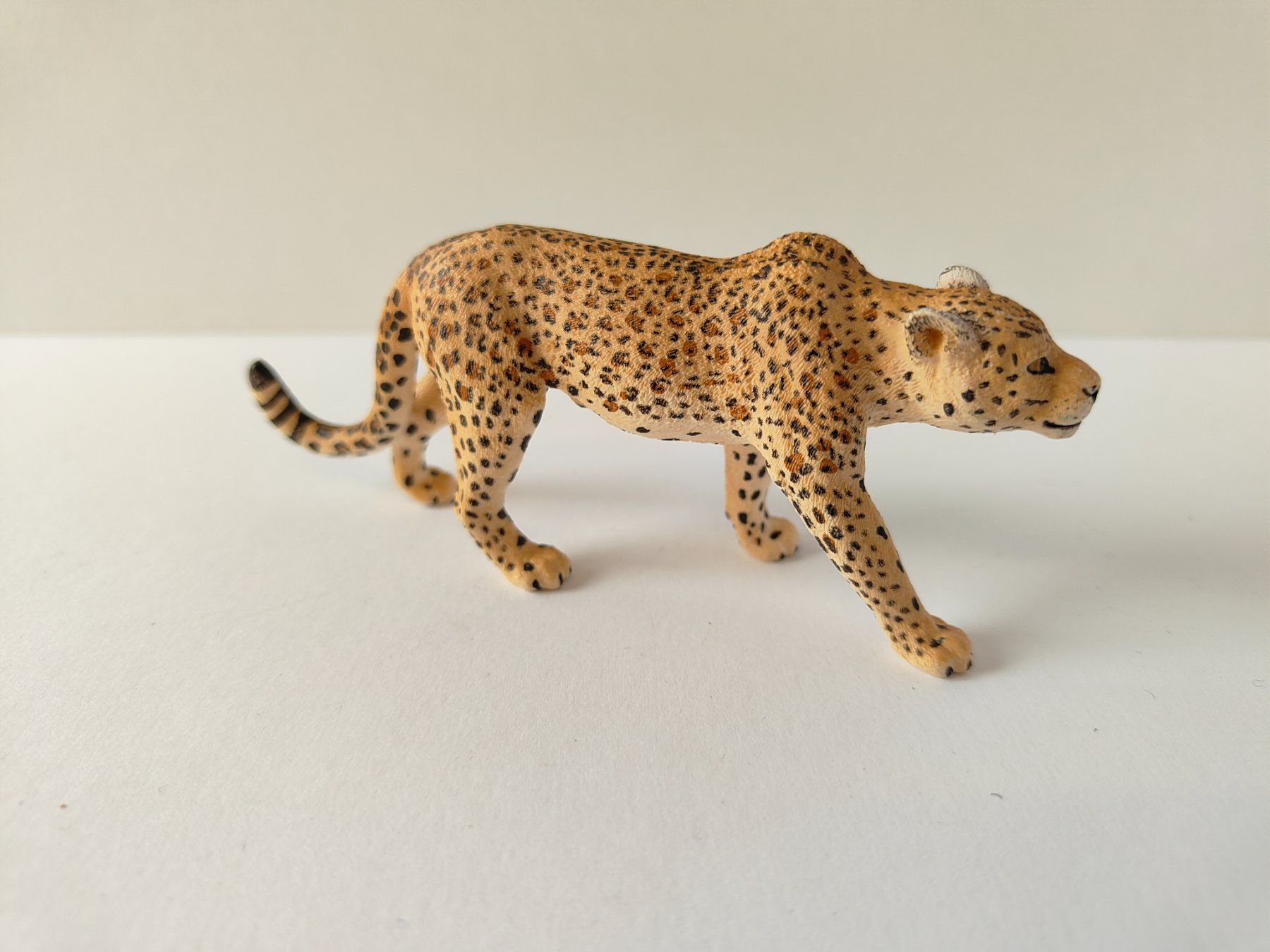 Schleich Spielzeuge: Schleich Leopard Wild Life Raubtier – Gebraucht aus Thalwil von FigurenFreunde 1