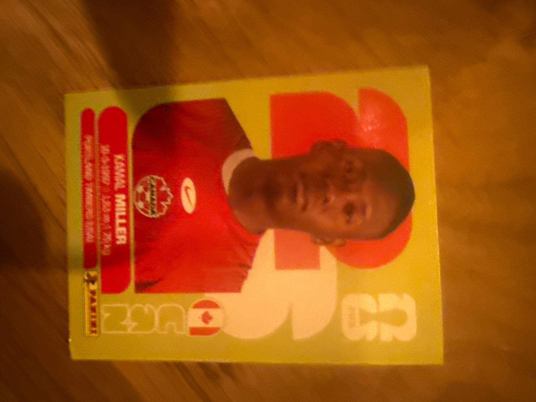 Panini Sammelbilder & Trading cards: Panini – Gebraucht aus Langnau i. E. von Acrjl