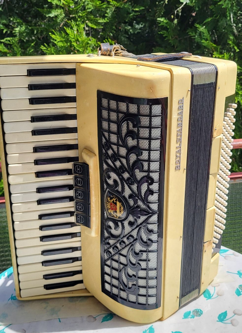 Strumenti musicali: Accordéon Royal standard – Usato da Penthalaz venduto da EvandroLuz 1