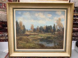 Wünderschönes Klassisches Landschaftsbild mit ruhigem Weiher