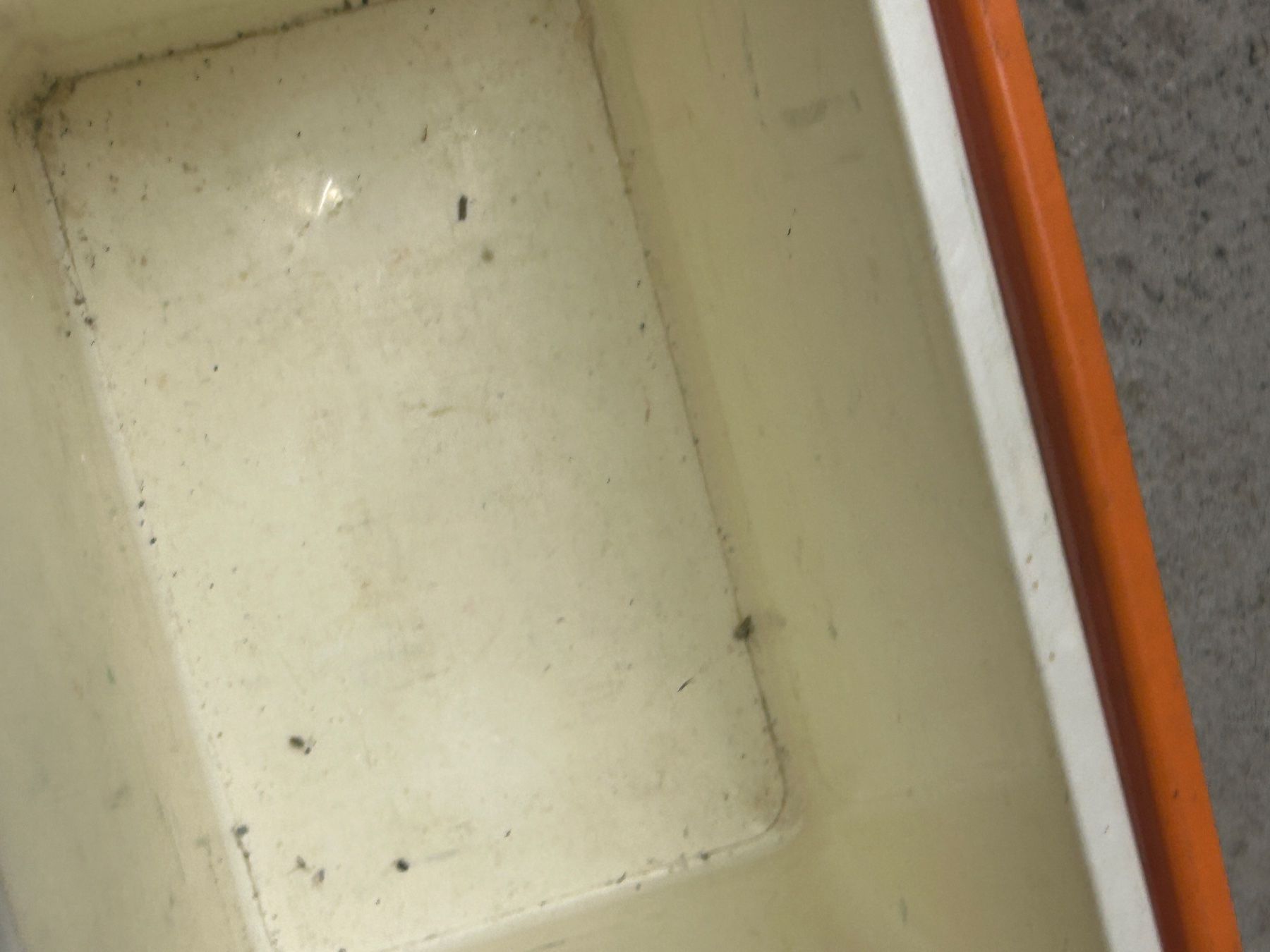 Kühlschränke & Kühlen: Kühlbox – Gebraucht aus Unteriberg von Matze063 2