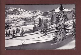 ALP DURANNA - Parsennabfahrt nach Küblis - 1963