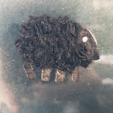 Profile image of BLACKSHEEP75