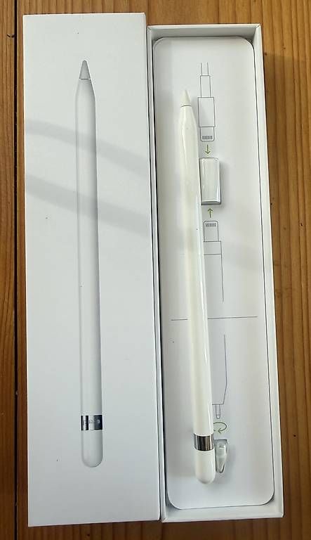 Apple Tablet PC: IPAD PRO 9.7 WIFI 128GB Rose – Usato da Utzenstorf venduto da Dirado 4