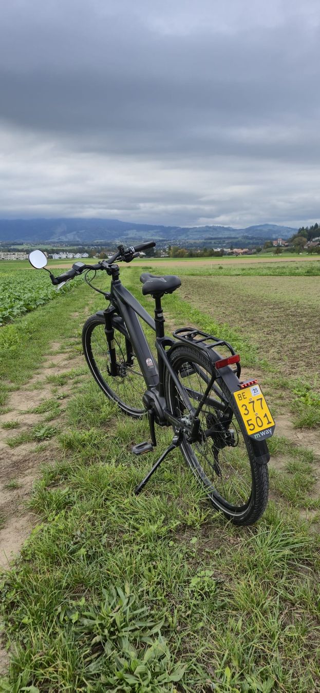 Cresta Biciclette: Cresta eGiro Neo 45 km/h – Usato da Steffisburg venduto da RnPerformanceShop 7