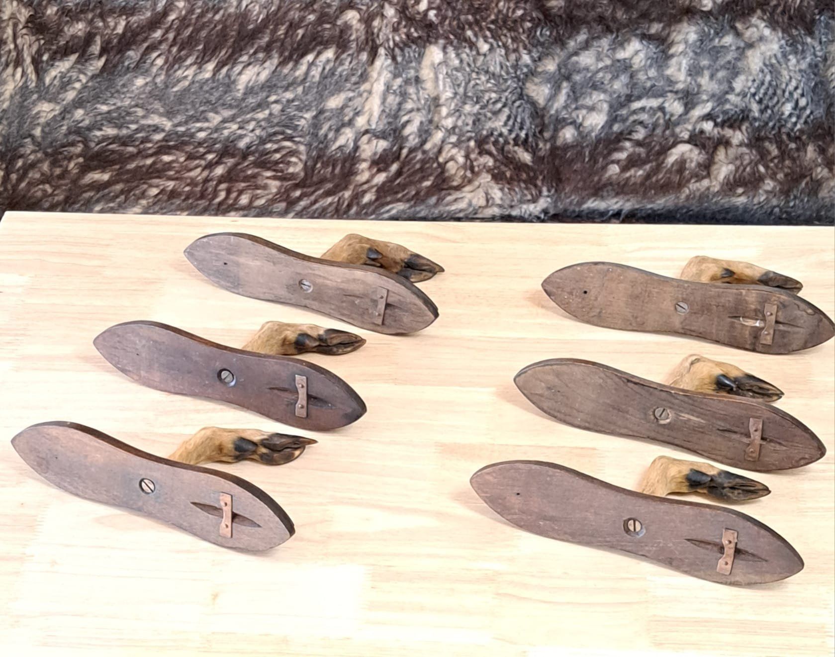 Guardaroba: Vintage Garderobe Reh Jagdtrophäe – Usato da Birsfelden venduto da oleros 9