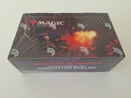 MtG - Adventures in the Rorgotten Realms Draft Display | EN