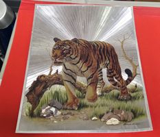 Dufex Print - Bengal Tiger - Glänzend - 1990 - A5