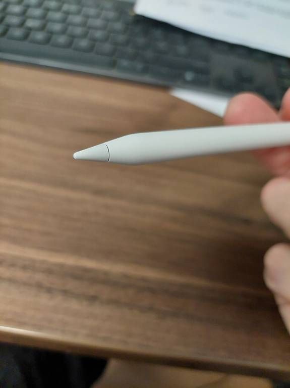 Apple Penna & Evidenziatori: Apple Pencil USB C – Usato da Schlieren venduto da DGamboni 2