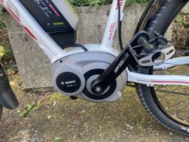 BOSCH Gepida Berig TOP ZUSTAND