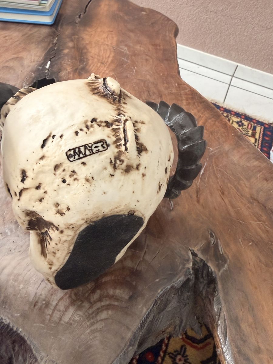 Tutte le decorazioni: Schädel Deko mit Hörner – Nuovo (secondo la descrizione) da Aarau venduto da Logo-Aarau 3