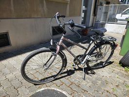 Alina City Bike M190