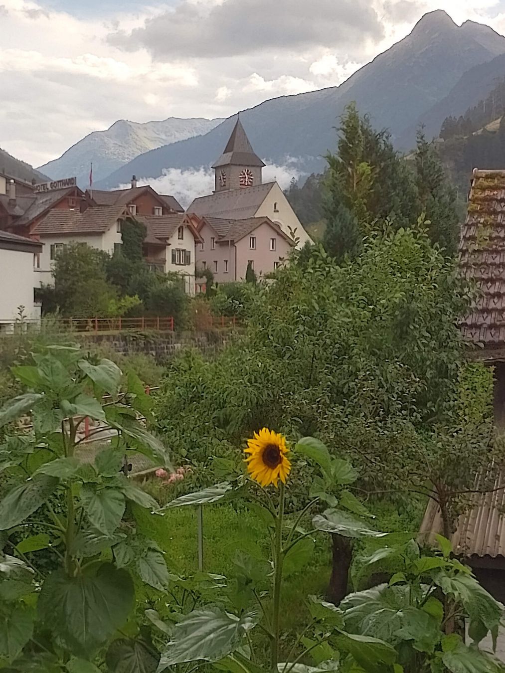 Aliments & Spécialités: Chrütertee Urner Oberland – Neuf avec emballage d'origine à Gurtnellen par AlexandraB51 6