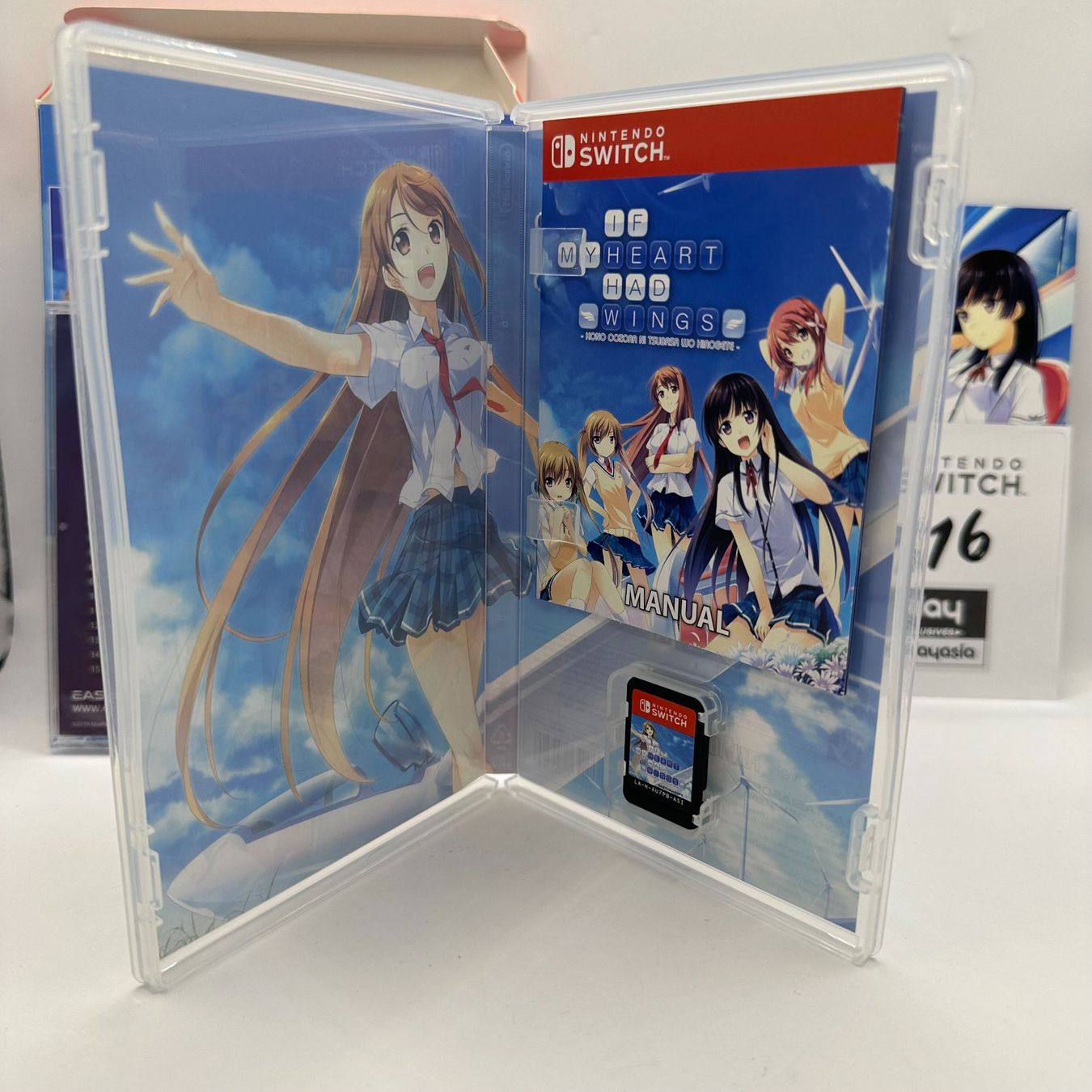 Nintendo Giochi: If My Heart Had Wings Switch – Usato da Düdingen venduto da Nerdworld 2