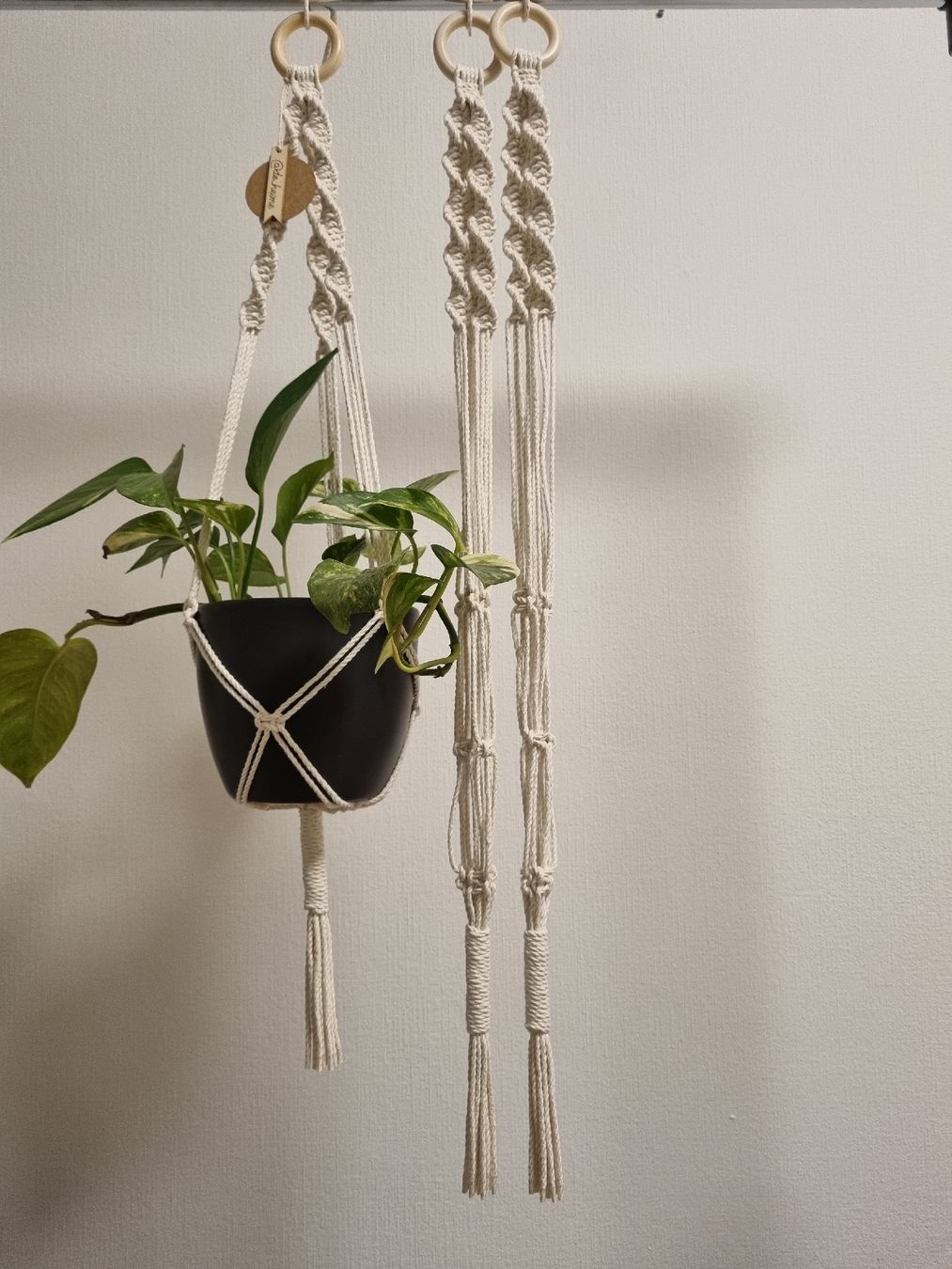 Tutte le decorazioni: Pflanzenhänger Makrame - ein super-Geschenk! – Nuovo e nell'imballaggio originale da Jonen venduto da Juliette_St 2