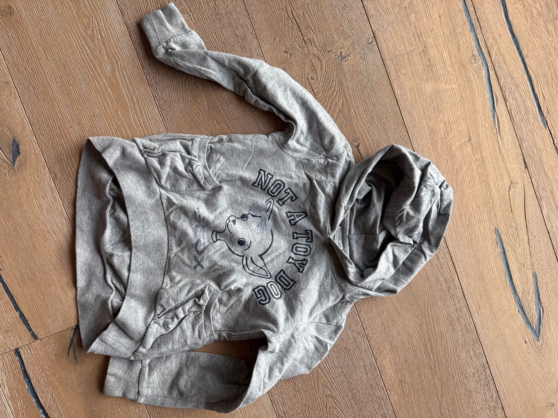 Maglioni & Felpe: Geox Pullover Gr. 6 – Usato da Himmelried venduto da Dievole