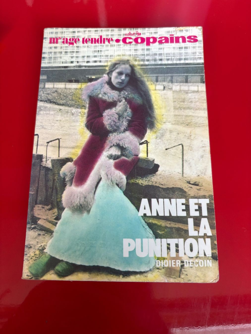 Libri: Anne et la punition – Usato da Lausanne venduto da reb_vpy7