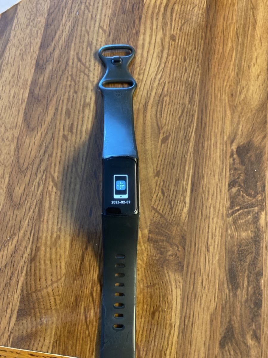 Fitbit Smartwatch: Fitbit Charge 6 mit Ladekabel – Usato da Termen venduto da Binaa94
