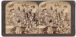 Stereo-Fotografie Underwood, Underwood, 