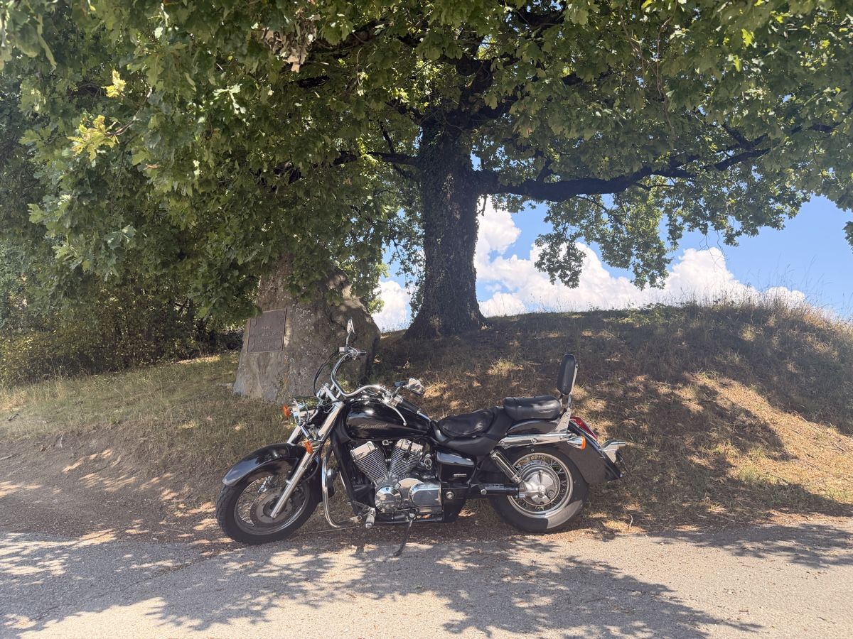 Cruisers: Honda Shadow VT750C – D'occasion à Romanel-s-Lausanne par Vlad.E 9