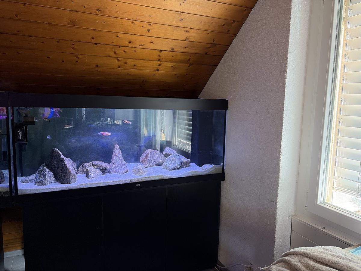 Aquarium: Juwel 450 LED – Gebraucht aus Reinach AG von joy_q2gl